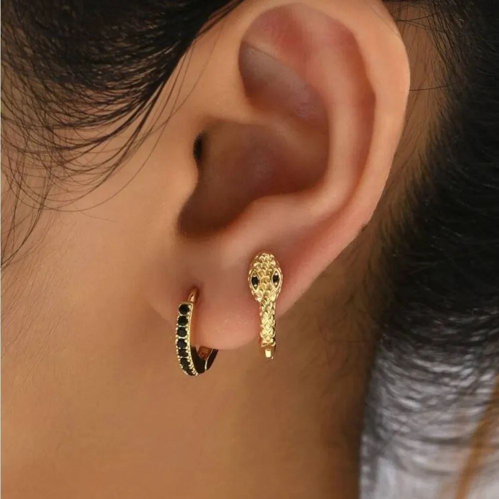 Black Snake Hoop Earring Set A1627
